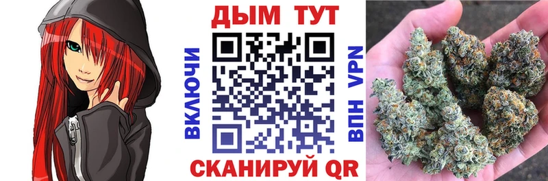 МАРИХУАНА планчик  Купить  Курчалой 